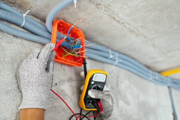 Best Electric Panel Repair  in Priest River, ID